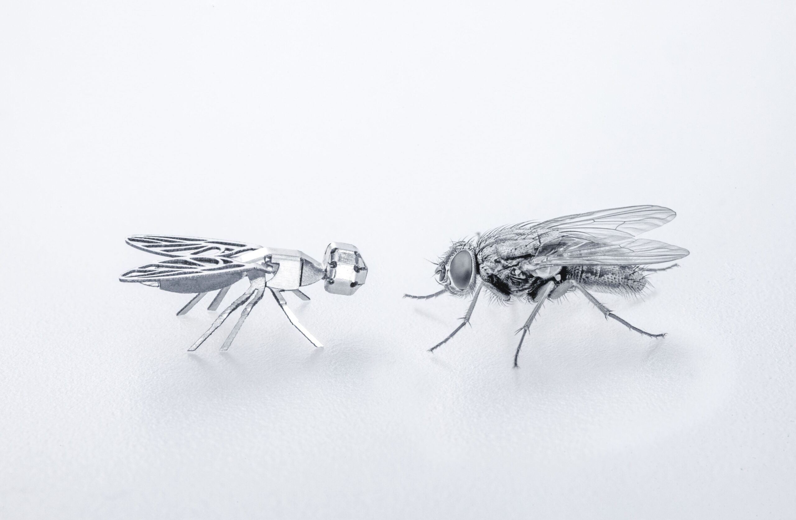 LK_Kleinteile_Werbebild-2_©-Minduka_Fliege-rechts-Alekss-adobe-stock-com